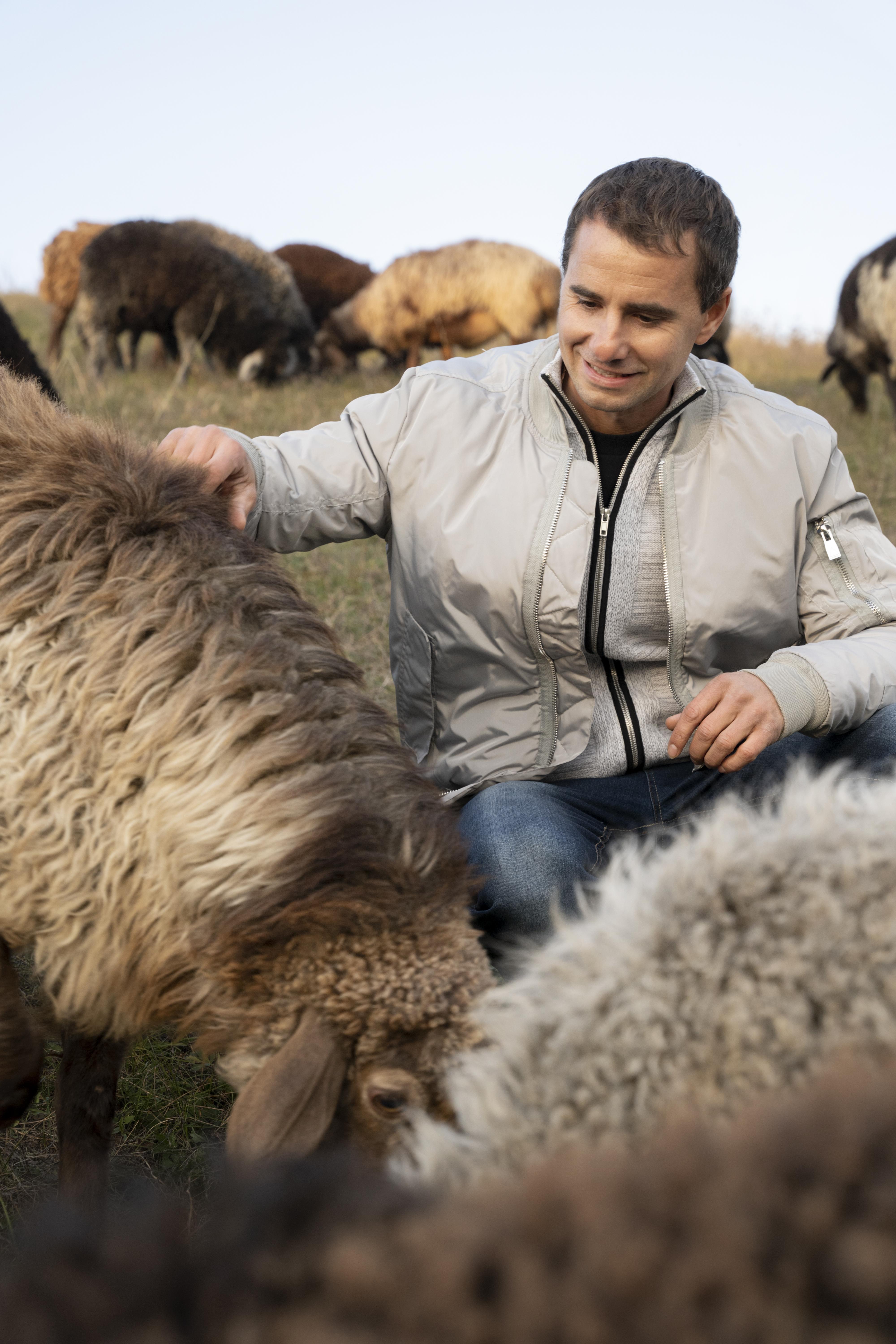 hombre de tiro medio acariciando ovejas